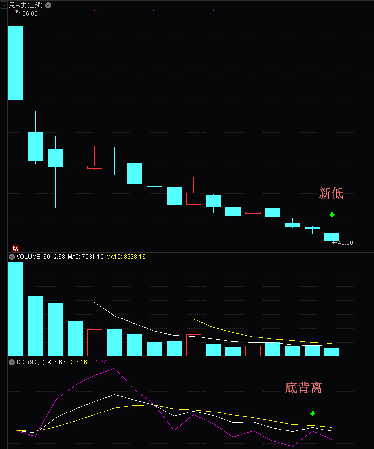 思林杰：12月4日召开业绩说明会，投资者参与
