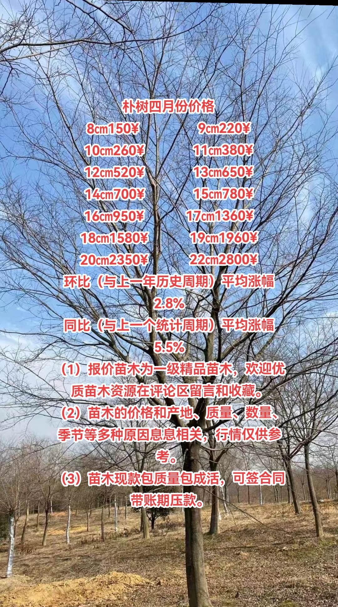 科创板两融余额1458.88亿元 较上一交易日环比增加12.21亿元