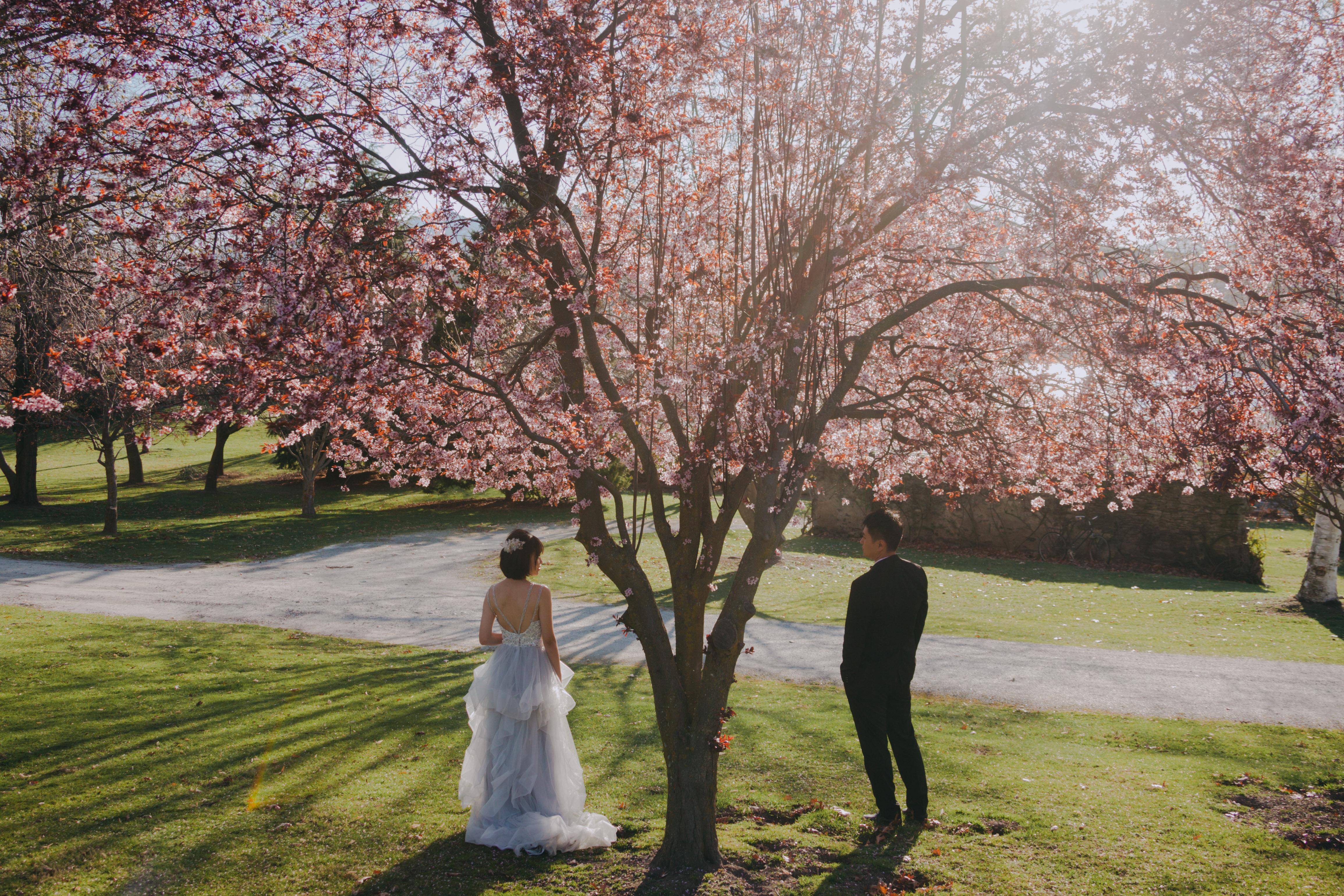 这届年轻人把家政业干出了花！企查查：今年已注册相关企业超50万