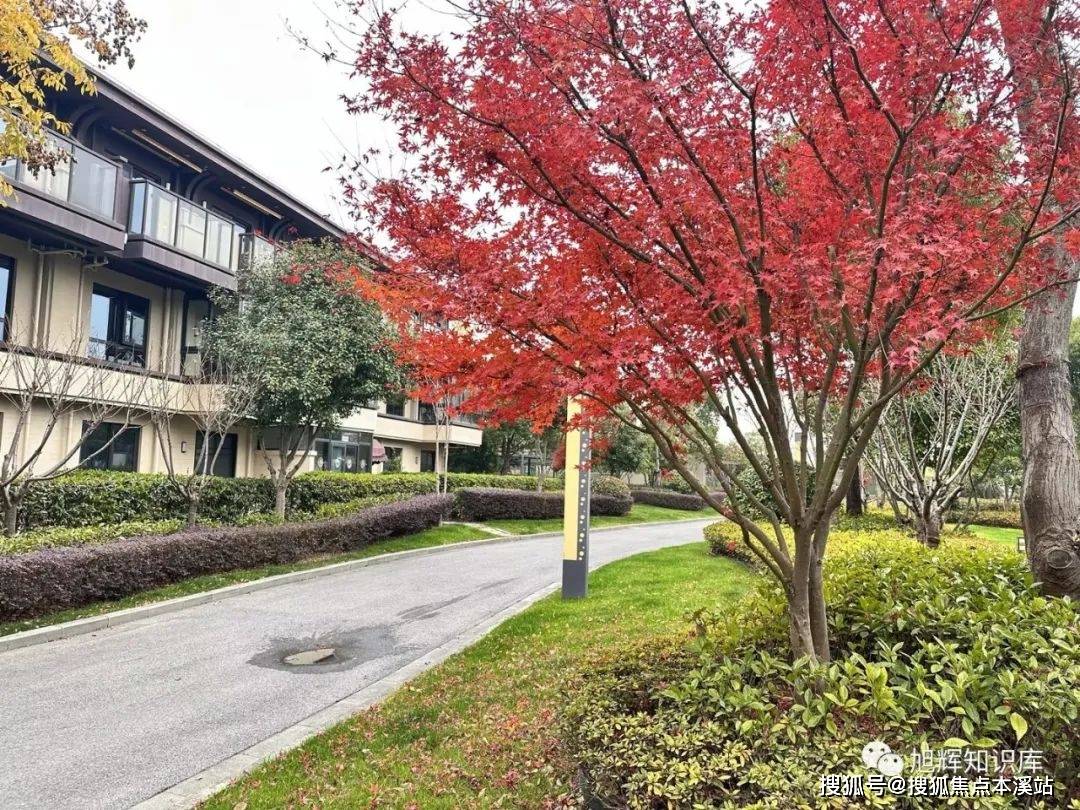 阳光人家·佘山高端康养社区盛大开园