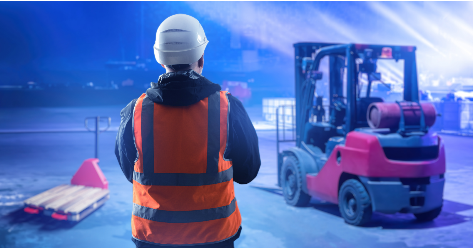 明天,沪主板有新股申购!