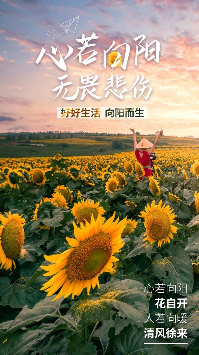 普门科技:对于集采,公司始终保持积极的心态应对和参与,不断进行研发投入