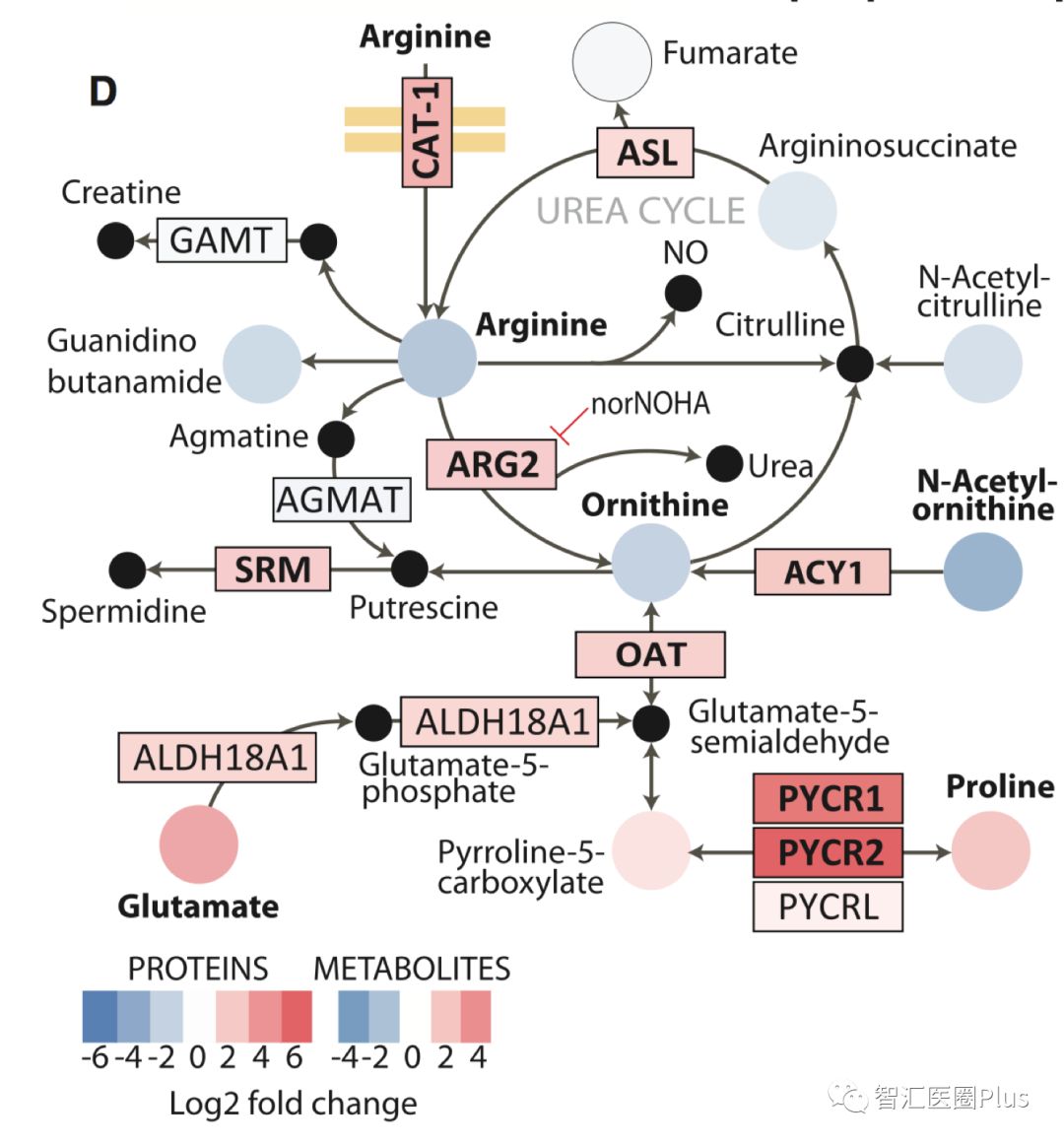 温多利：产能信披陷“罗生门” 实控人与关联客户的下游或关系待解