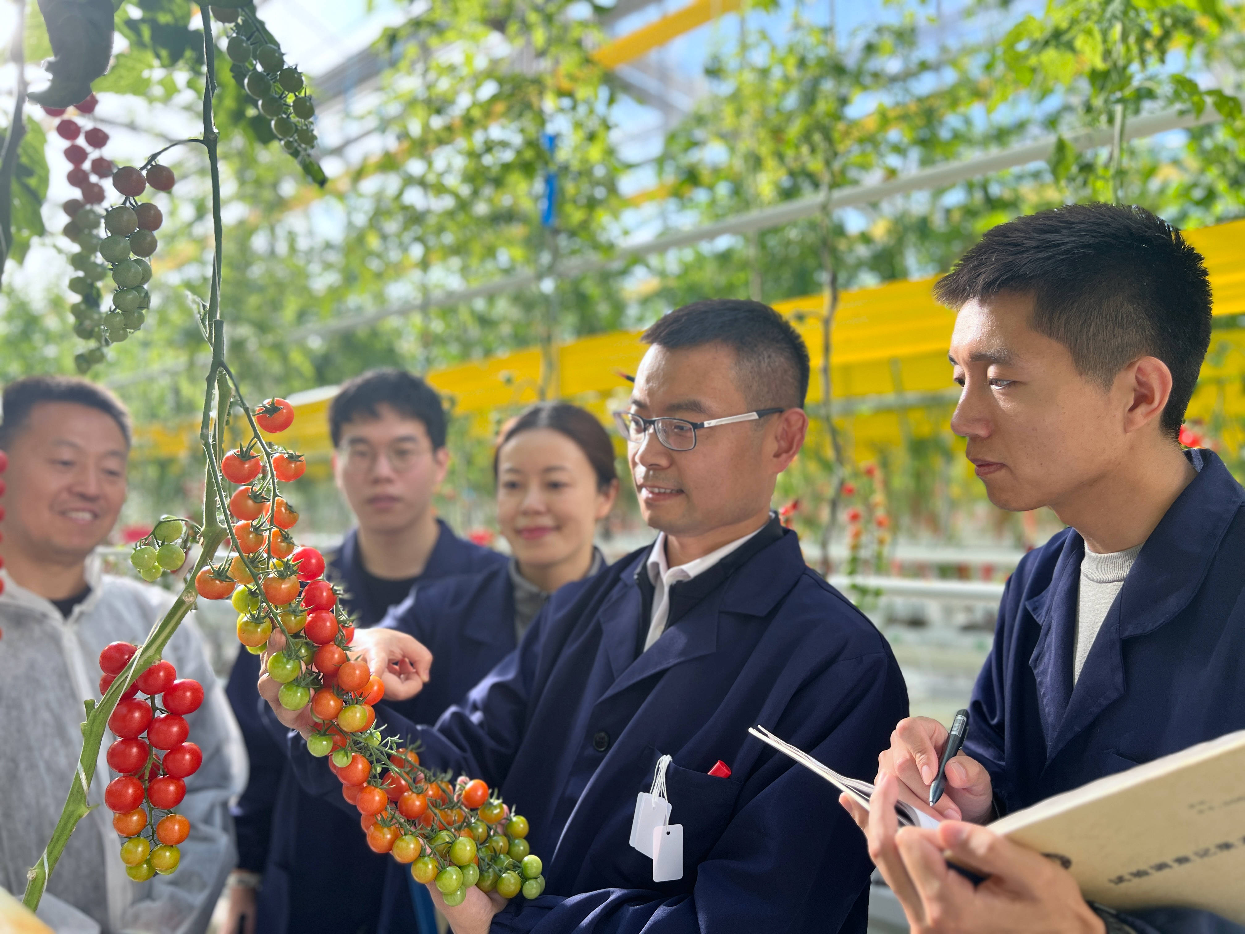 2025年生物育种行业细分市场分析――水稻育种【组图】