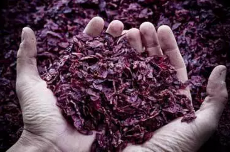 汇宇制药：公司产品获得意大利、葡萄牙、沙特阿拉伯的上市许可