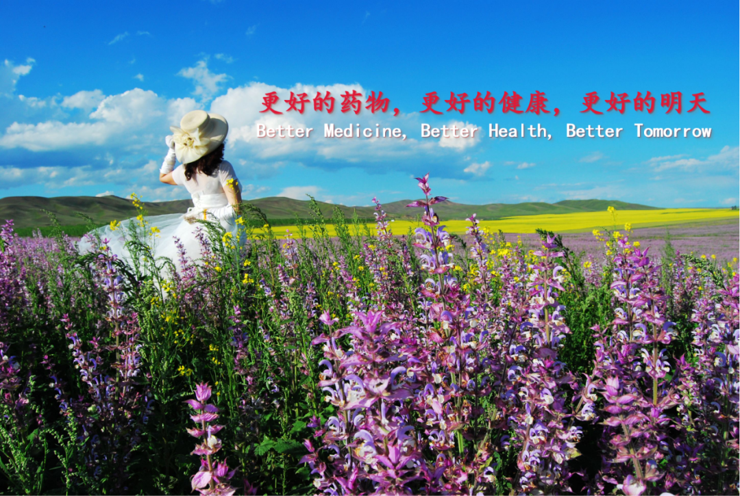 必贝特：在研药物竞争格局现信披疑云 研发进度或“失先机”