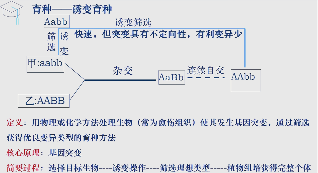 重磅！2025年中国及31省市生物育种行业政策汇总及解读（全） 聚焦生物育种创新技术发展
