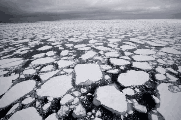 去年12月北极海冰范围创46年间同月最低纪录 中国气象科学研究院回应每经:极地海冰低位现象仍将持续