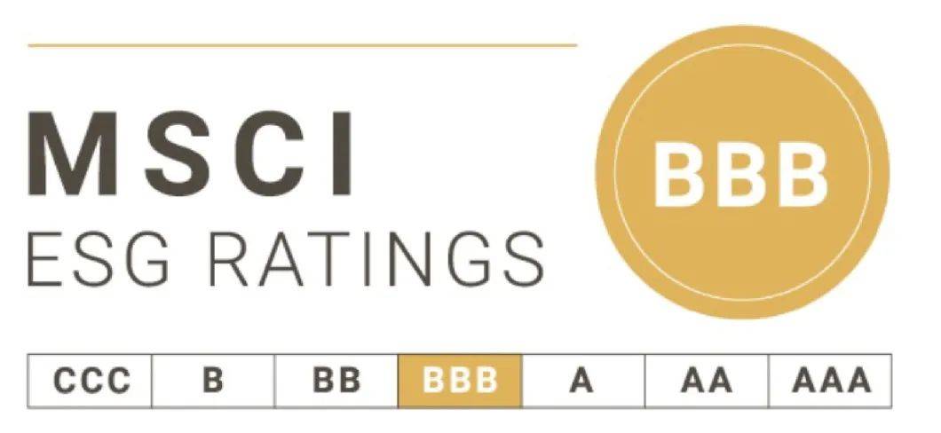 跃升A类评级：中国人寿ESG战略的硬核答卷