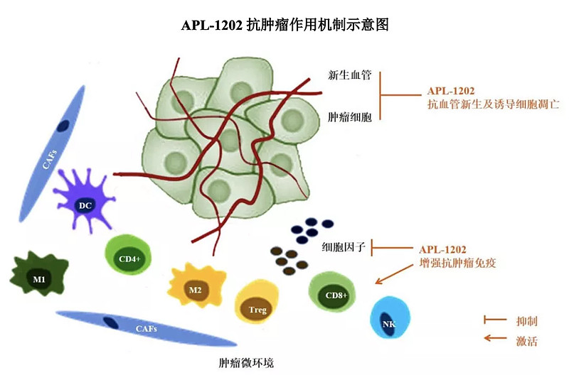 亚虹医药：公司正全力组织准备发补回复材料尽早在法规时限内提交以期尽快获得上市批准