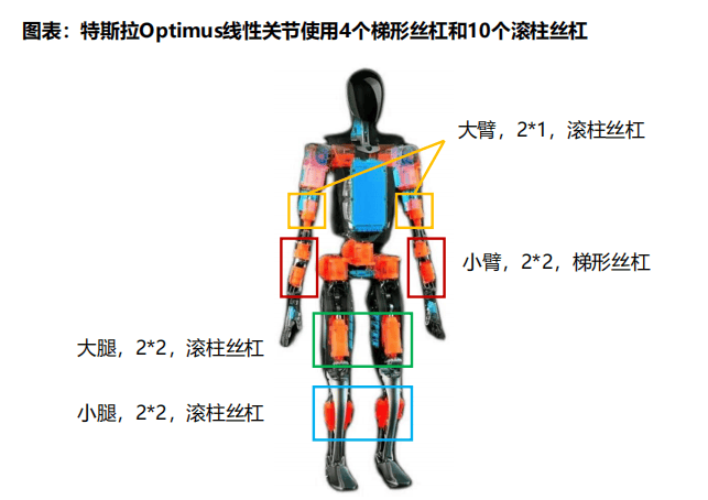 人形机器人深度研究系列八：谐波减速器：差齿传动，持续进化