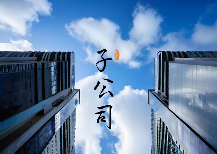 伟创电气最新公告：拟出资2000万元共同投资设立依智灵巧