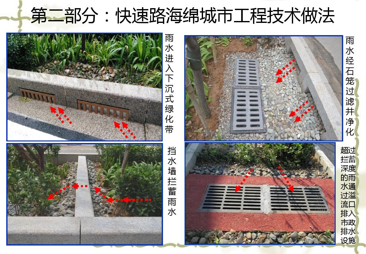 蕾奥规划：公司设立了海绵城市与水务规划设计所
