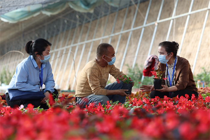 涨停雷达：水泥+中吉乌铁路+新疆振兴+雅下水电概念 天山股份触及涨停