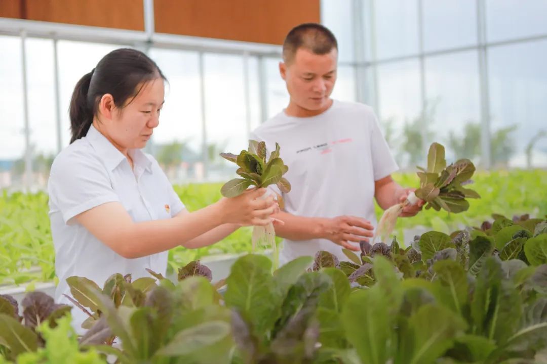 涨停雷达：水泥+中吉乌铁路+新疆振兴+雅下水电概念 天山股份触及涨停