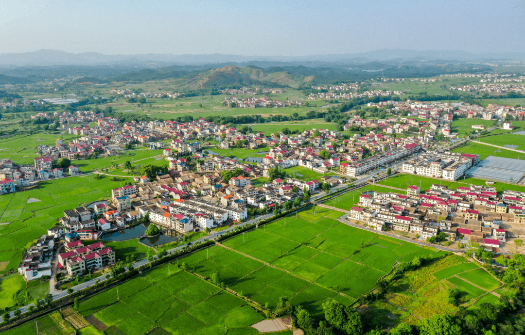 金田股份：境外业务稳步增长奠定全球升级基础