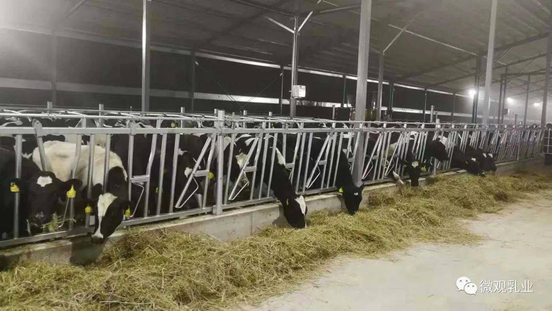 建筑行业行业月报：建筑持仓微增，雅下水电开工提振基建