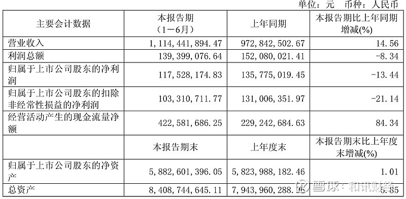 财报速递：嘉应制药2025年半年度净利润2008.26万元