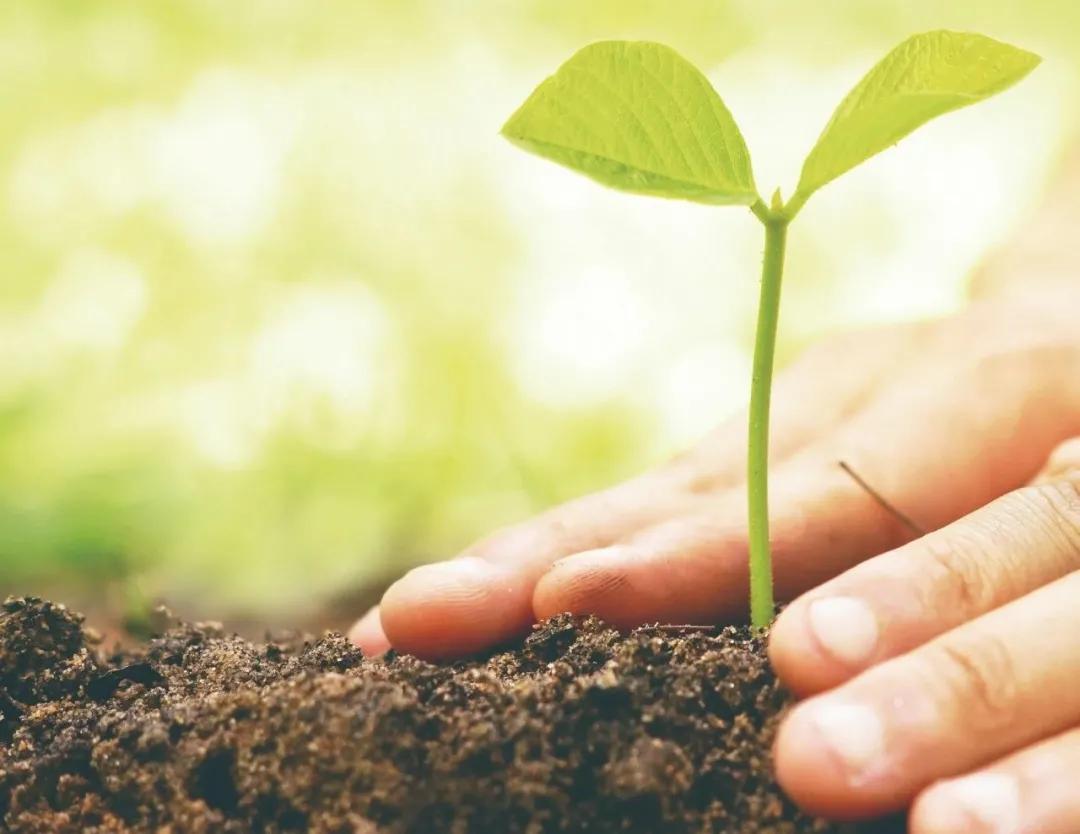 基础化工行业研究：不惧短期扰动，成长与周期或将继续共振