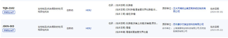 百利天恒最新公告：T-Bren（HER2ADC）用于一线HER2突变晚期或转移性非鳞状非小细胞肺癌III期临床试验完成首例受试者入组