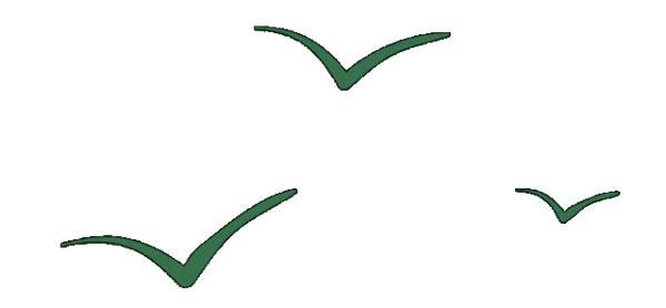 IPO动态：中塑股份拟在深交所创业板上市募资6.45亿元