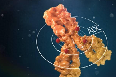 百利天恒最新公告：公司决定延迟H股全球发售及上市