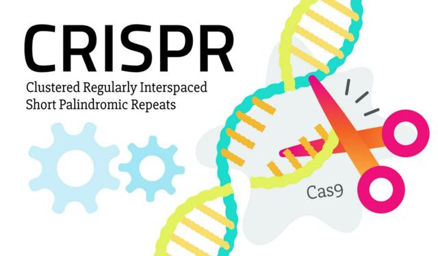 键凯科技（688356）新增【基因编辑】概念