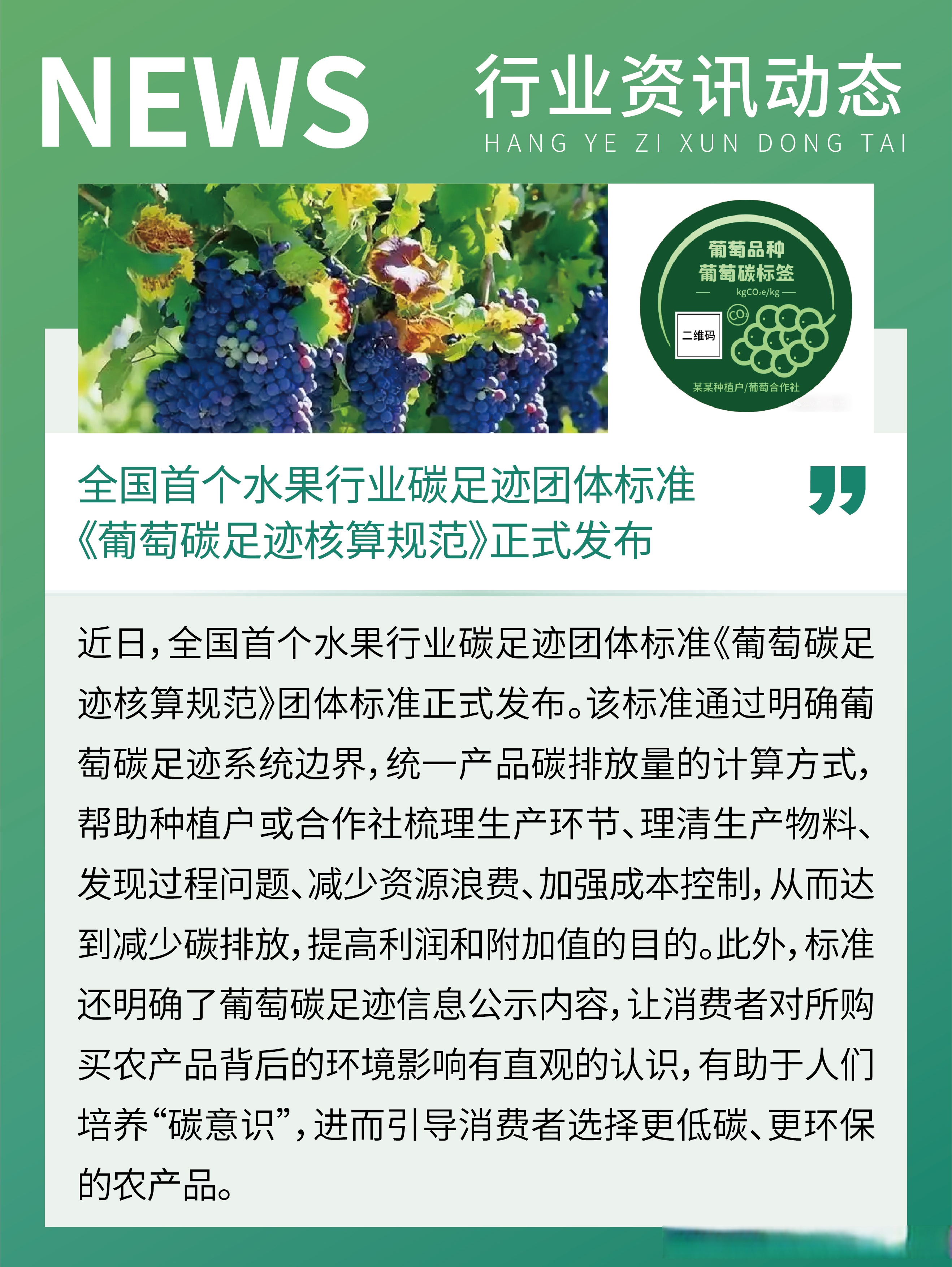 基础化工行业周报:有机硅、R134a价格上行,持续关注反内卷