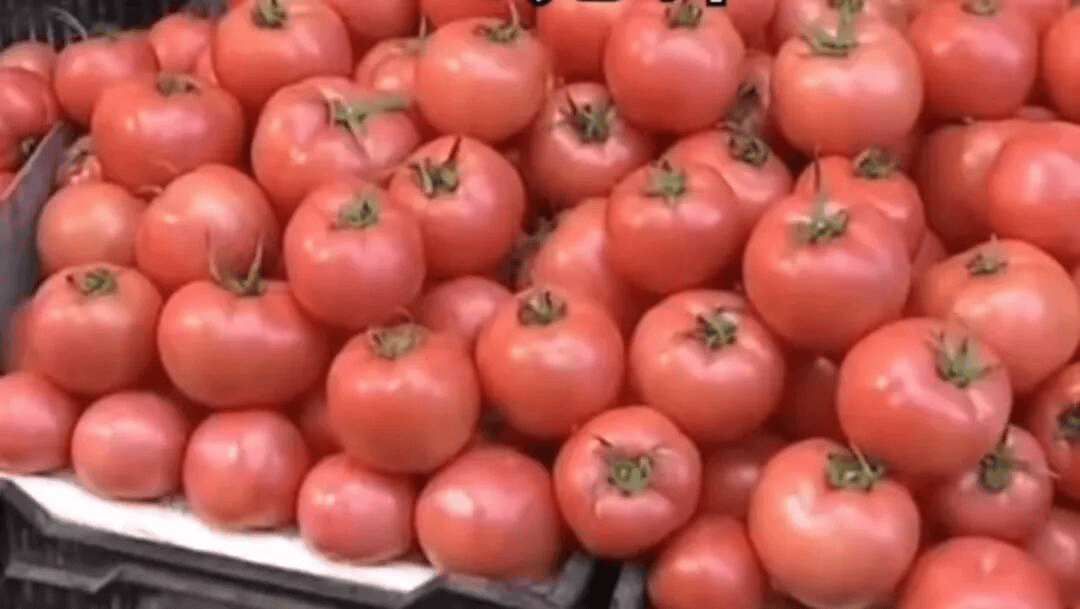 鸡蛋都快配不上番茄了！我国现存近2800家西红柿相关企业