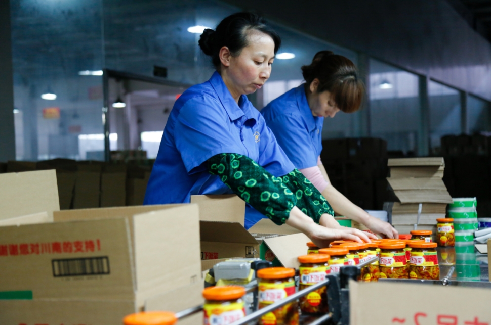 14只产品统一更名！“指选大成”聚合升级