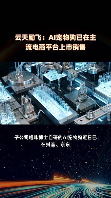 云天励飞:新华资产、西部证券自营等多家机构于12月19日调研我司