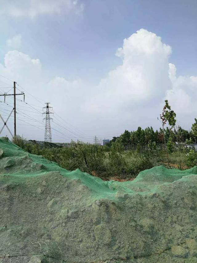 武汉TOD项目地块收储调规背后:房企经营何去何从?