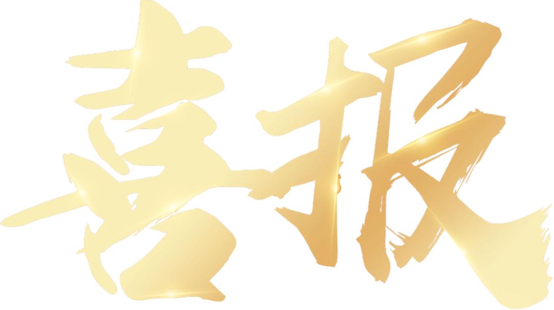 中环新能源新年喜获多项荣誉