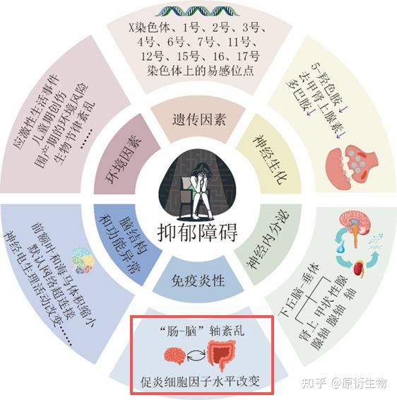 板块轮动加速，如何破局？南华丰汇左侧布局，捕捉市场机遇