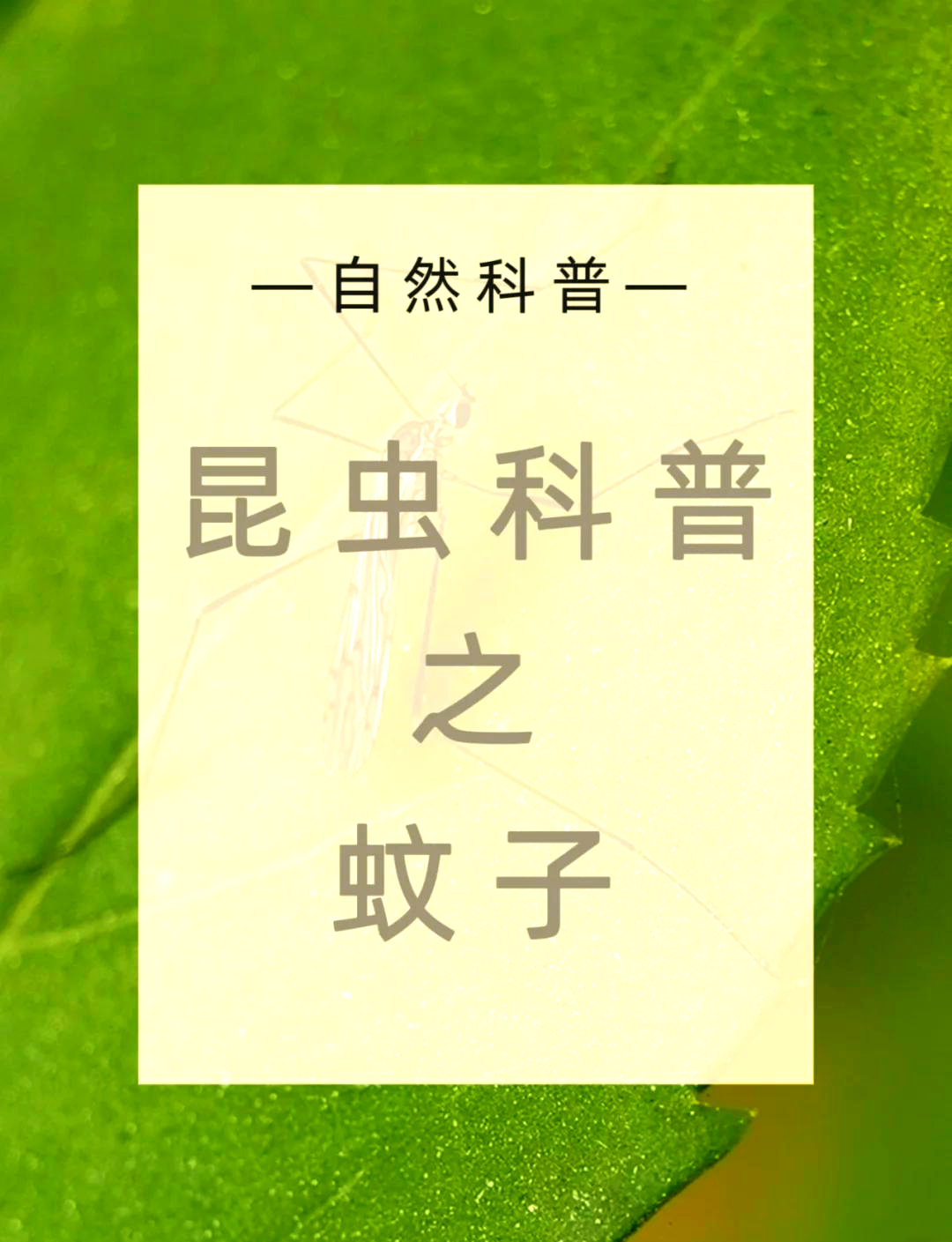 唠“科”话丨为啥蚊子总叮你?“招蚊”跟血型相关?
